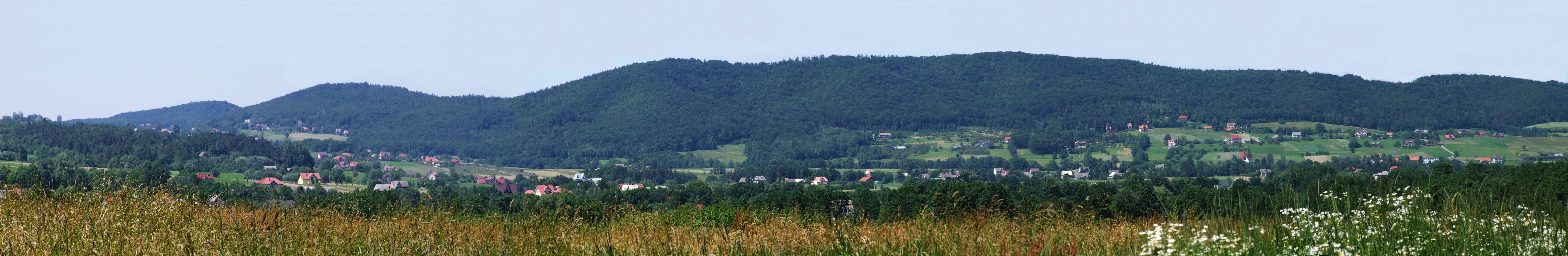 Glichowiec